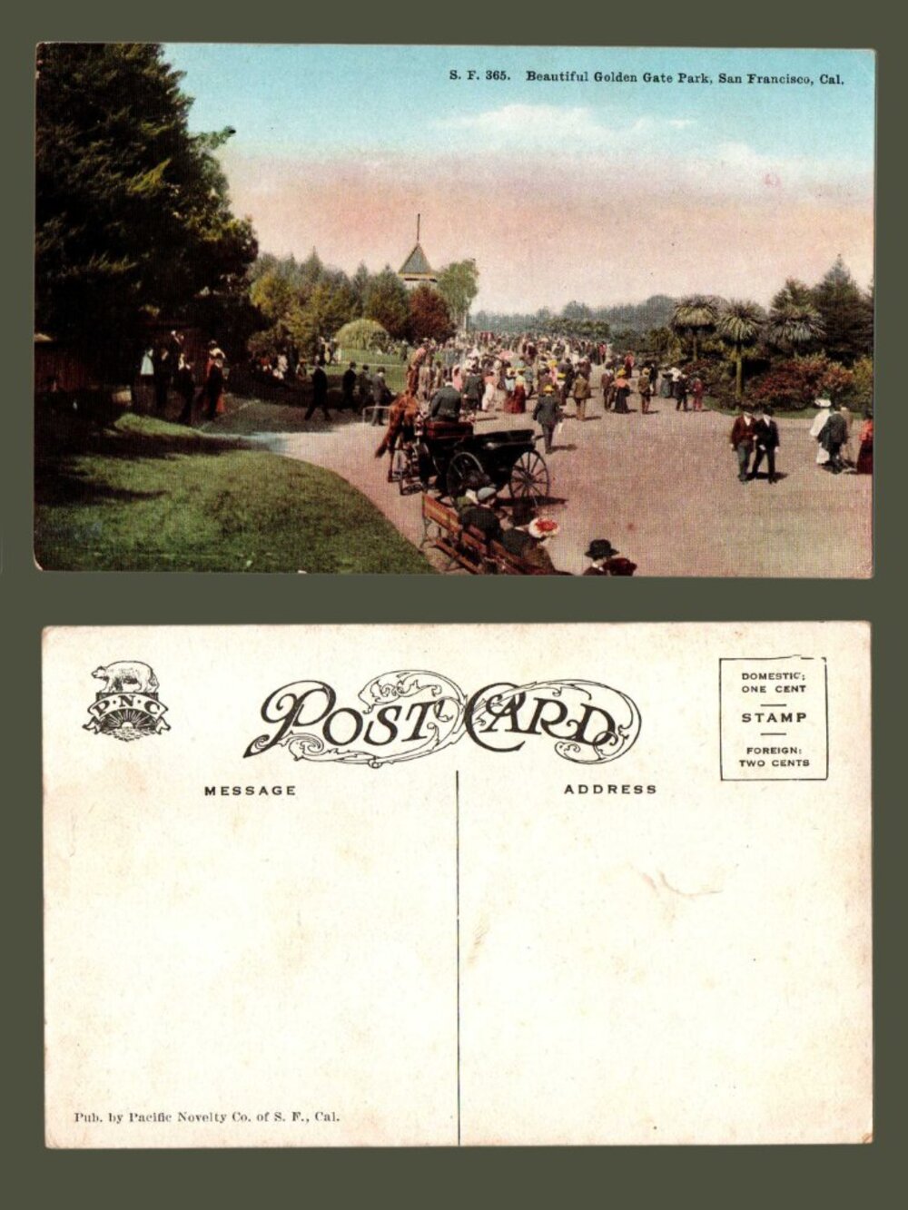 10/$25 Vintage Blank California Golden Gate Park San Francisco Postcard